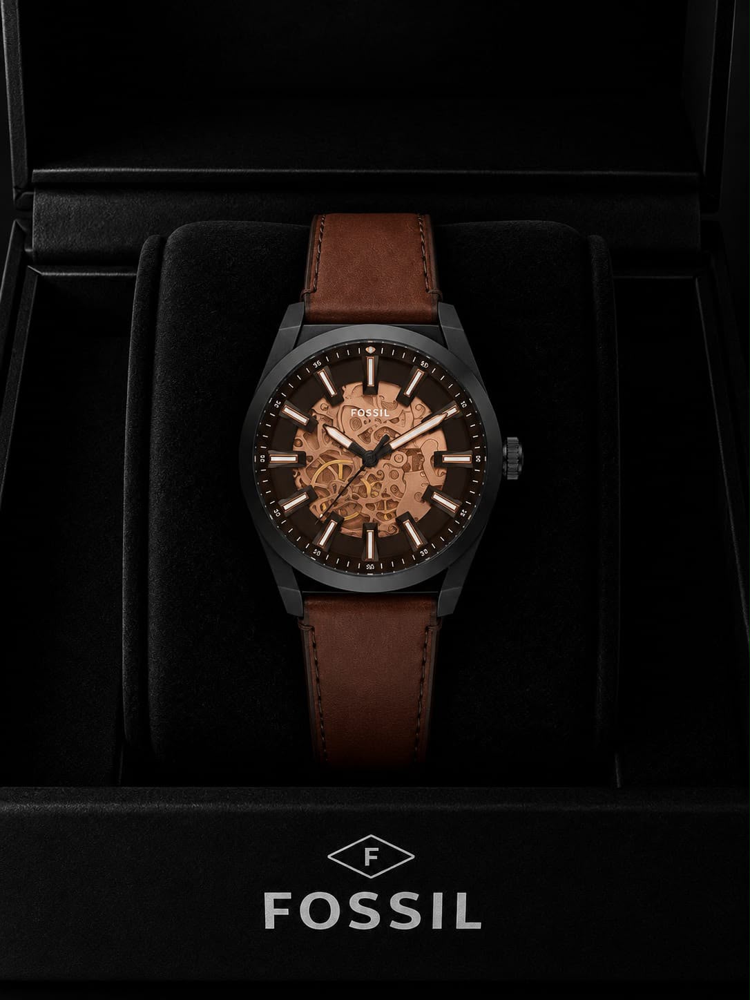 Fossil Everett